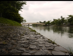 　雨の　宇治川　　　　　　　253038352