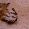 CSC_1050