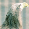 CSC_0219