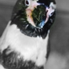DSC_1015