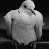 CSC_1220