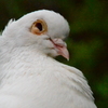 CSC_1207