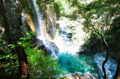 Nature With Beauty 