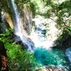 Nature With Beauty 