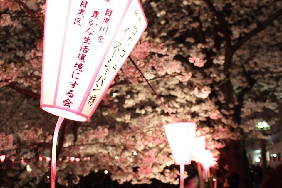 目黒川を豊かな生活環境にする会