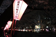 目黒川桜まつり
