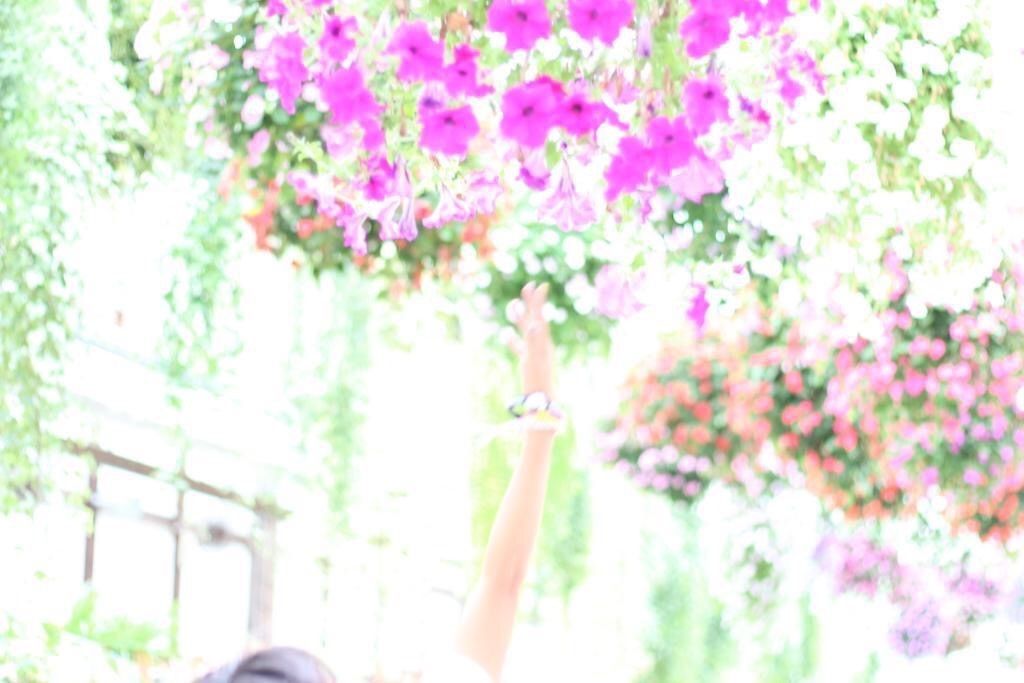 お花と手