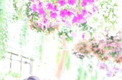 お花と手