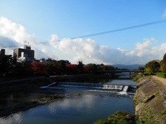油絵風
