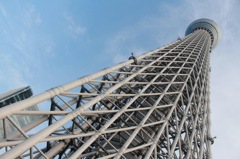 朝にそびえる