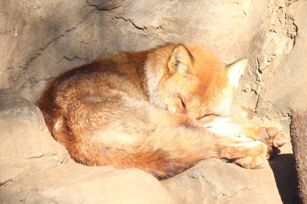 いつもの私の姿