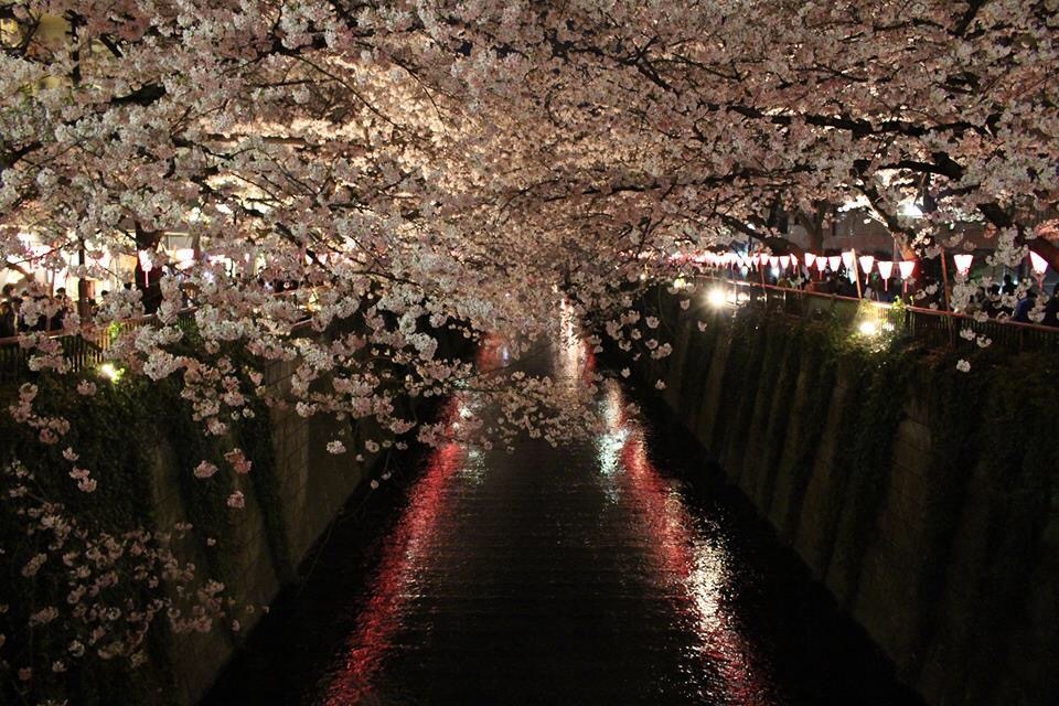 通り道