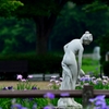 花と華