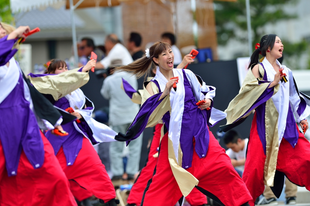 能登よさこい祭り　富山大学よさこい部TNCさん