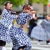 能登よさこい祭り　一魁さん