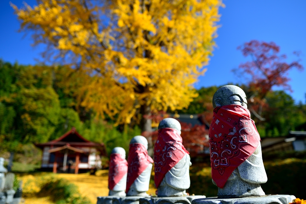 撮ってんの？