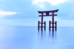 白髭神社-2015-11-30