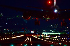 夜・動き物・マズイ・ボツ
