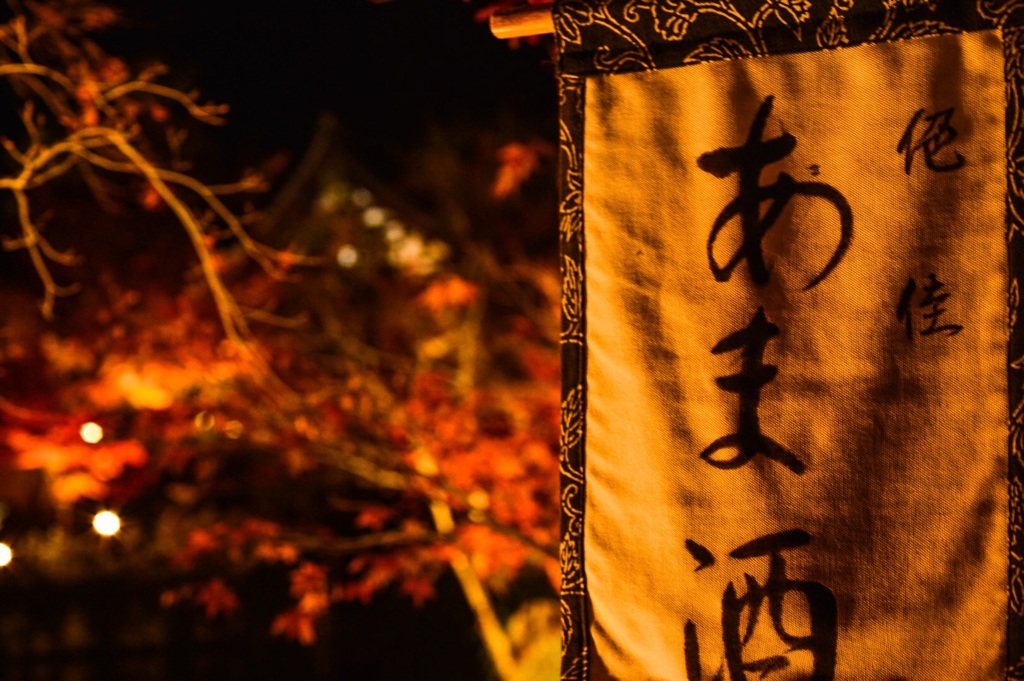 紅葉に夢中で、、、飲めず。