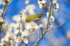 あたたか日和