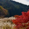 お気に入りの場所