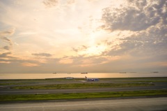 夕焼けジンベエ