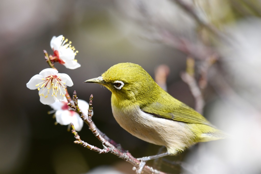 見つめてる姿かわいい