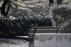 いつもの待ち合わせ場所