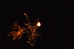 店先で線香花火