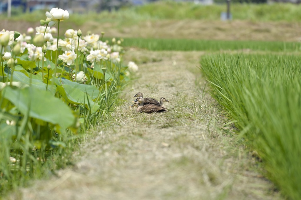 あはは^ ^迂回しよう