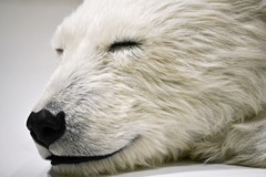 夢の中