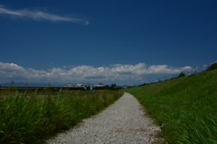 多摩川河川敷