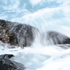 wash