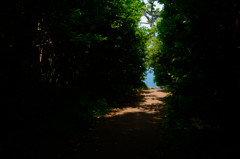 path to the sea