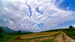 梅雨間の青