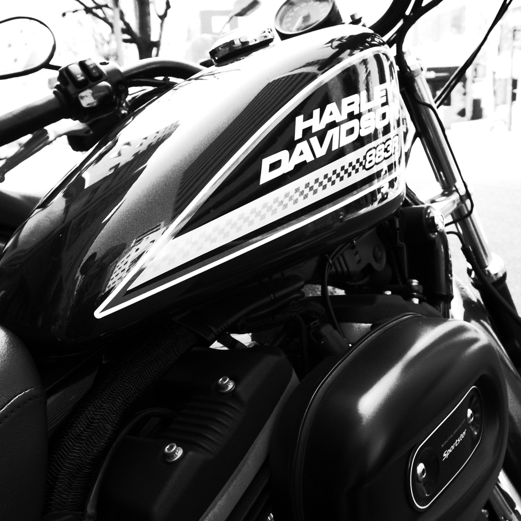 Harley Mono