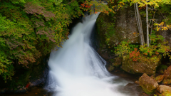 日光　竜頭の滝