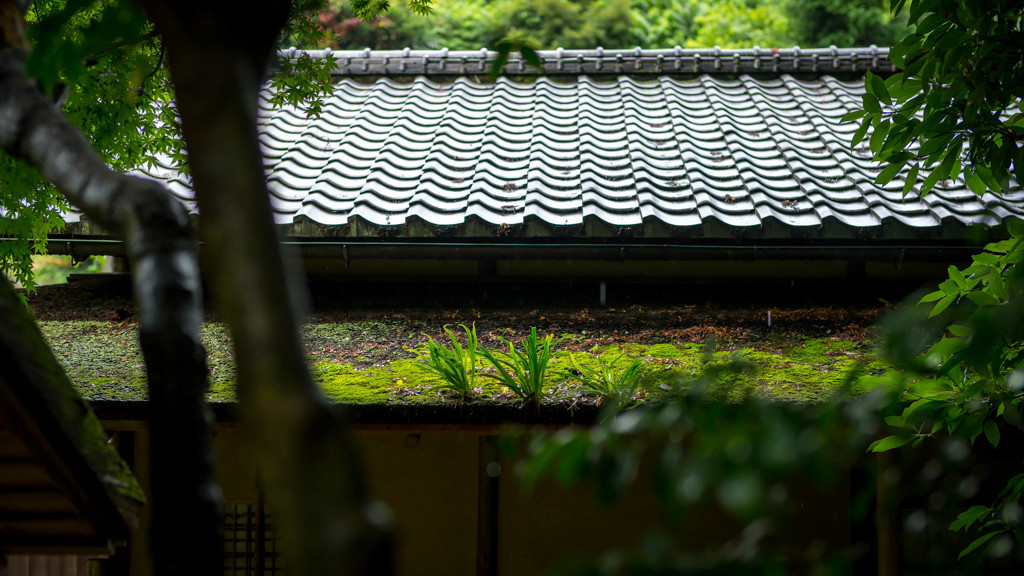 円覚寺