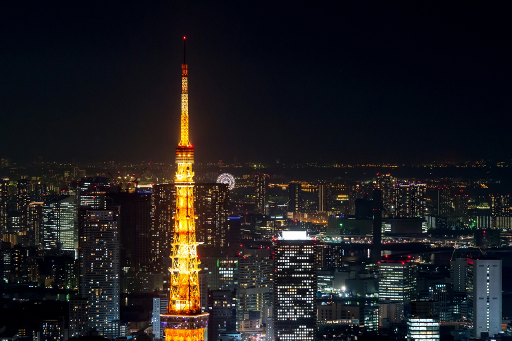 ギヒルズからの夜景