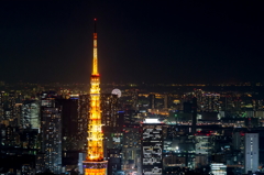 ギヒルズからの夜景