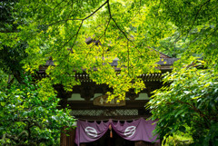 円覚寺