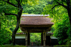 円覚寺