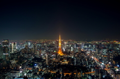 ギヒルズからの夜景