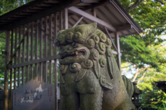 酒列磯前神社　狛犬