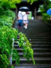 円覚寺