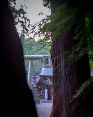 水戸八幡宮