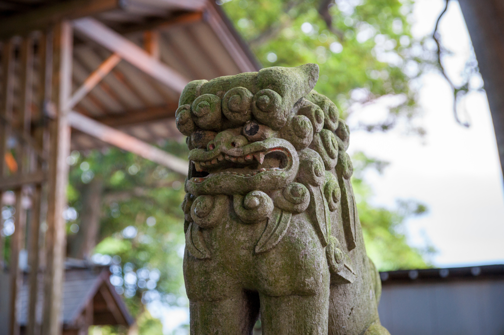 酒列磯前神社　狛犬