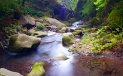 日光 裏見の滝 渓流