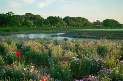 水戸偕楽園 拡張部
