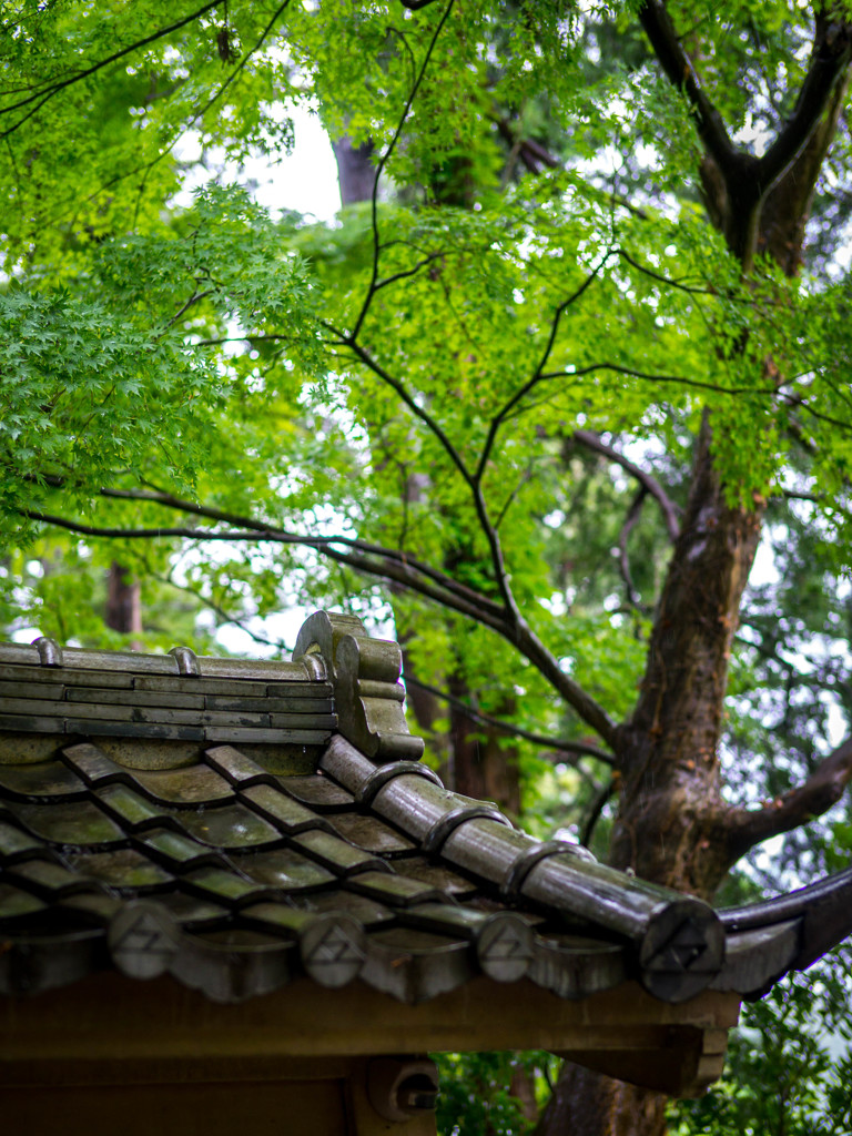 円覚寺